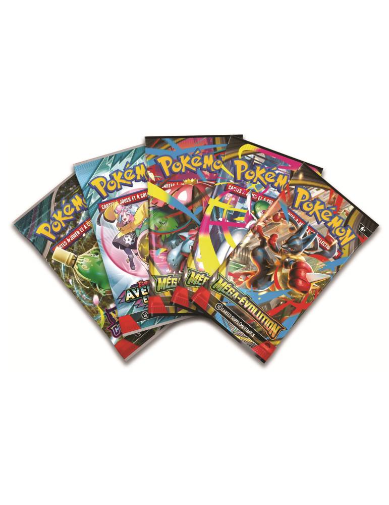 Collection avec figurine Méga-Lucario-ex POKEMON JCC